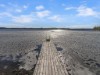 Innen