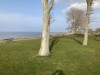 Område
