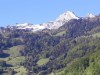 Aussen