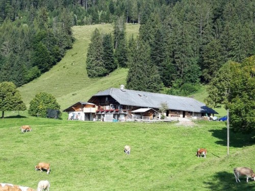 house-gallery