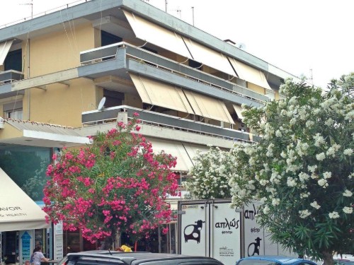 house-gallery