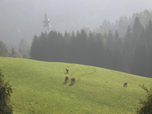 house-gallery
