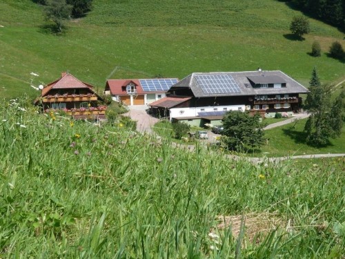 house-gallery