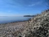 Blick über's Wasser