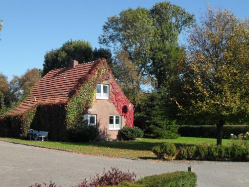 house-gallery