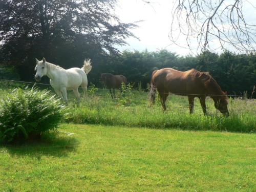 house-gallery