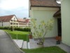 Aussen