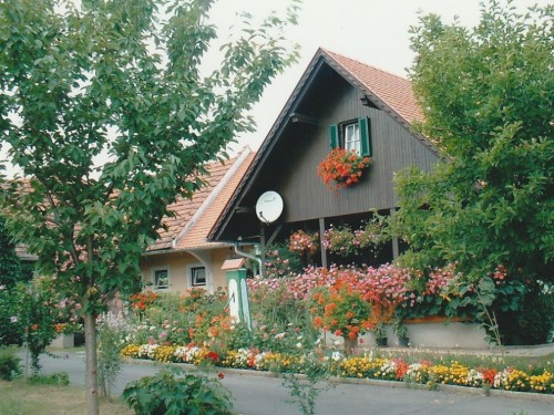 house-gallery