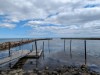 Blick über's Wasser