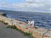 Udsigt over vand