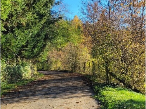 house-gallery