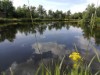 Udsigt over vand
