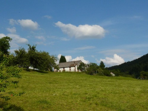 house-gallery