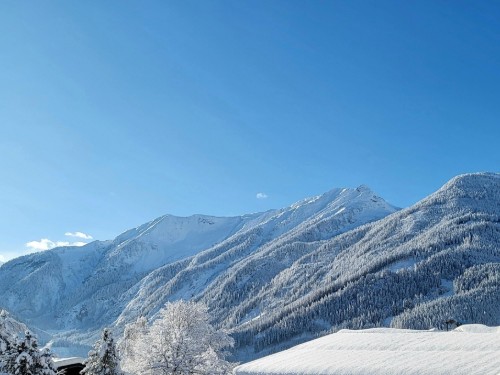 house-gallery