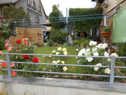house-gallery