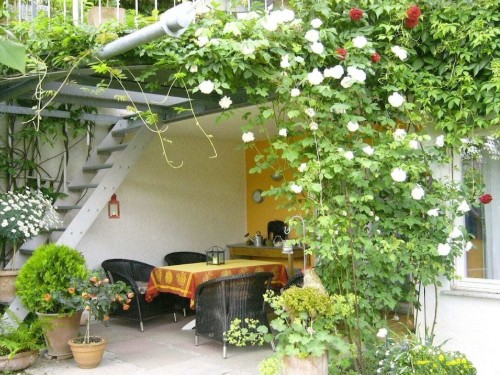 house-gallery