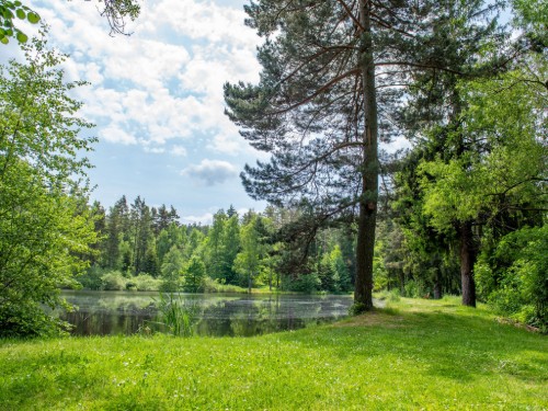 house-gallery